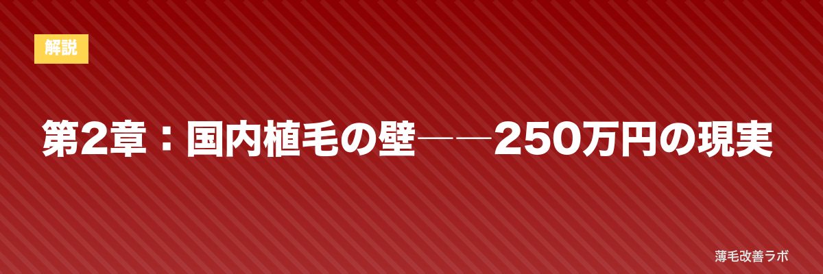 第2章：国内植毛の壁――250万円の現実 | 薄毛改善ラボ