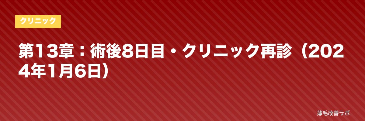 第13章：術後8日目・クリニック再診（2024年1月6日） | 薄毛改善ラボ