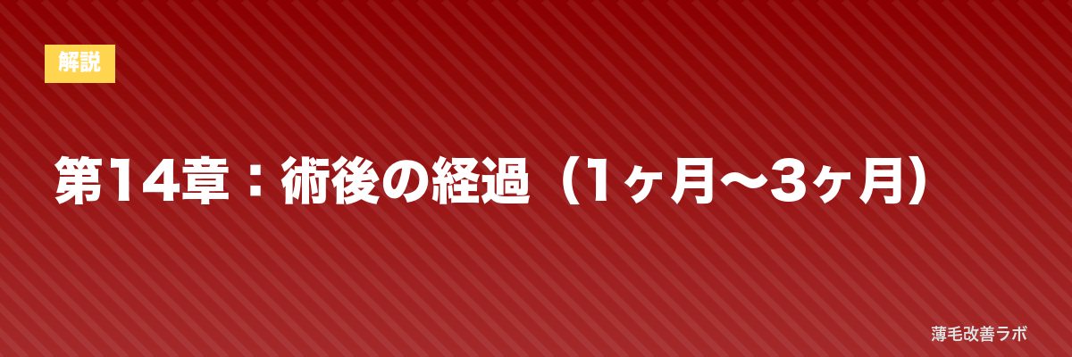 第14章：術後の経過（1ヶ月〜3ヶ月） | 薄毛改善ラボ