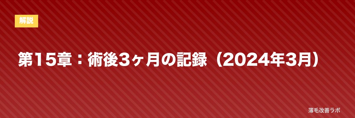 第15章：術後3ヶ月の記録（2024年3月） | 薄毛改善ラボ