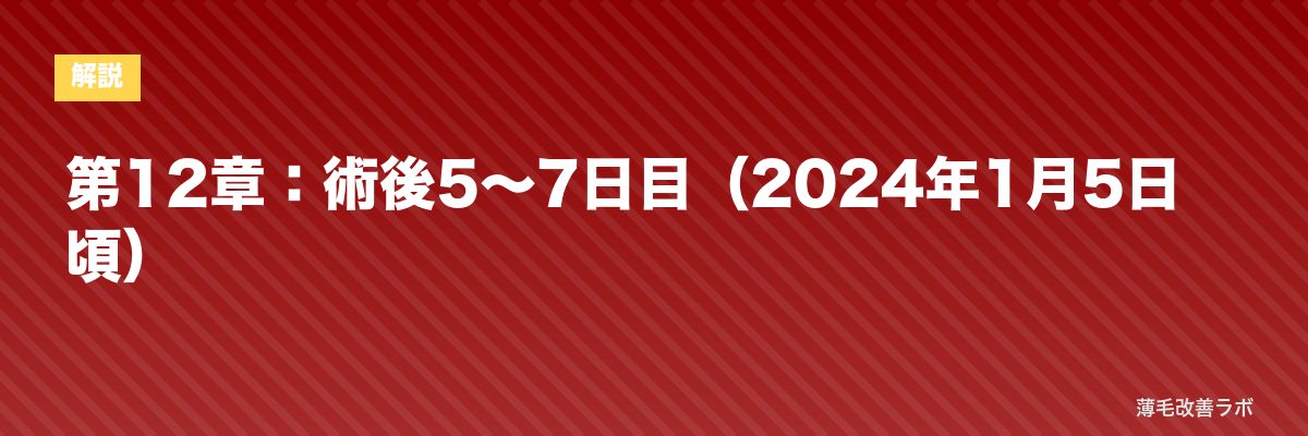 第12章：術後5〜7日目（2024年1月5日頃） | 薄毛改善ラボ
