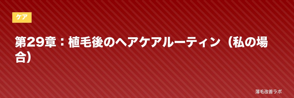 第29章：植毛後のヘアケアルーティン（私の場合） | 薄毛改善ラボ
