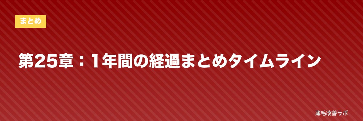 第25章：1年間の経過まとめタイムライン | 薄毛改善ラボ