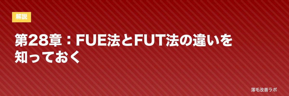 第28章：FUE法とFUT法の違いを知っておく | 薄毛改善ラボ