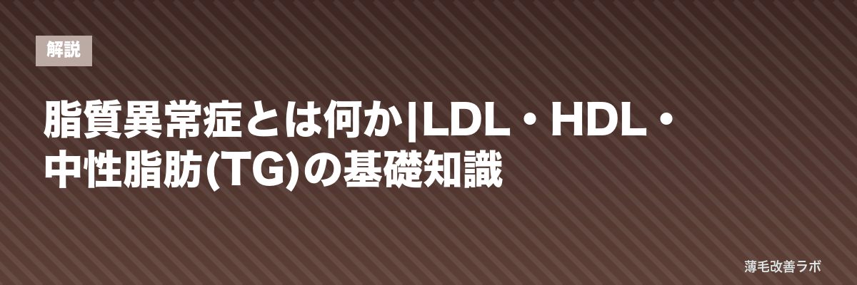 脂質異常症とは何か|LDL・HDL・中性脂肪(TG)の基礎知識 | 薄毛改善ラボ