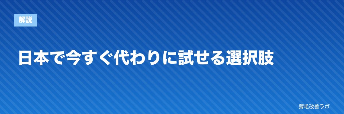 日本で今すぐ代わりに試せる選択肢 | 薄毛改善ラボ