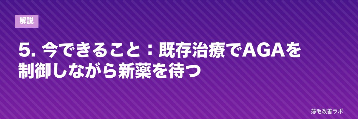5. 今できること:既存治療でAGAを制御しながら新薬を待つ | 薄毛改善ラボ