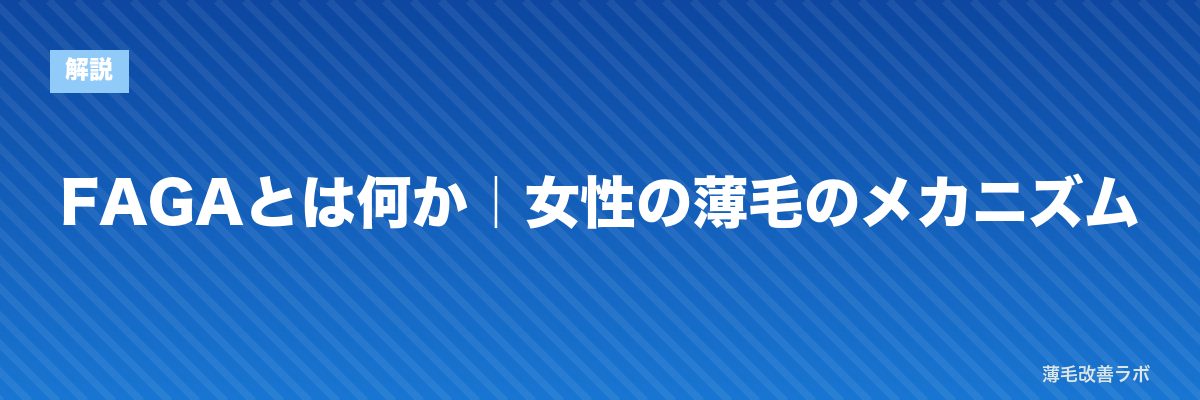 FAGAとは何か｜女性の薄毛のメカニズム | 薄毛改善ラボ