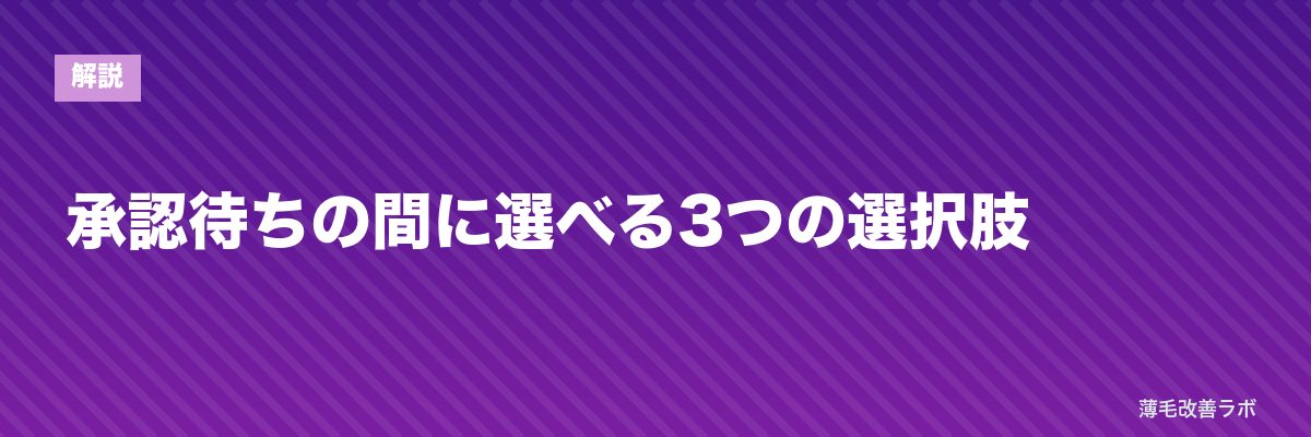 承認待ちの間に選べる3つの選択肢 | 薄毛改善ラボ