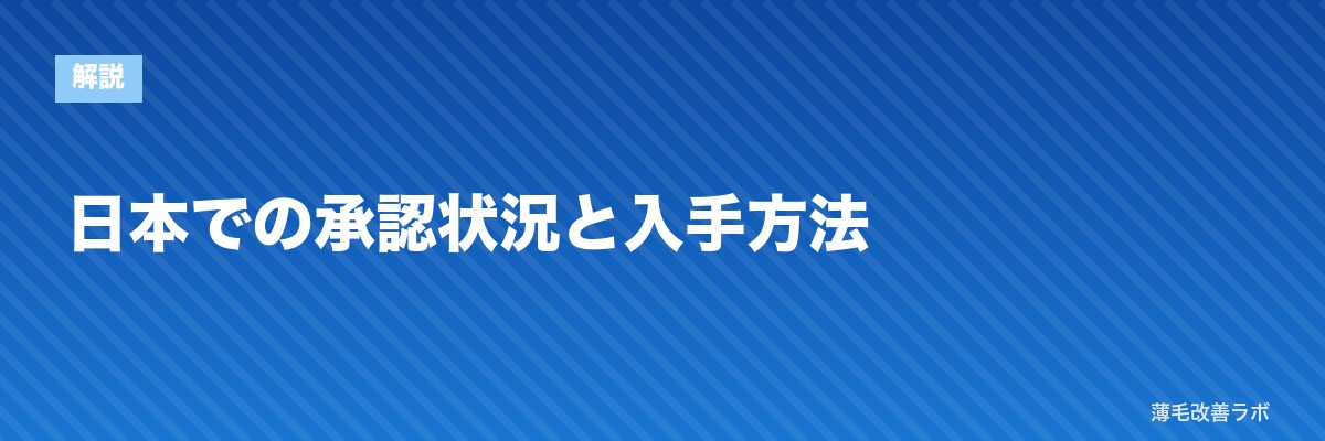 日本での承認状況と入手方法 | 薄毛改善ラボ