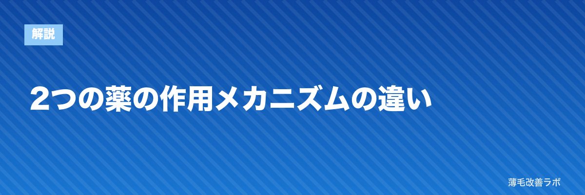 2つの薬の作用メカニズムの違い | 薄毛改善ラボ