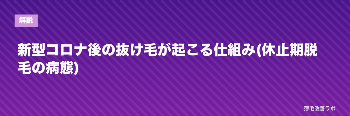 新型コロナ後の抜け毛が起こる仕組み(休止期脱毛の病態) | 薄毛改善ラボ