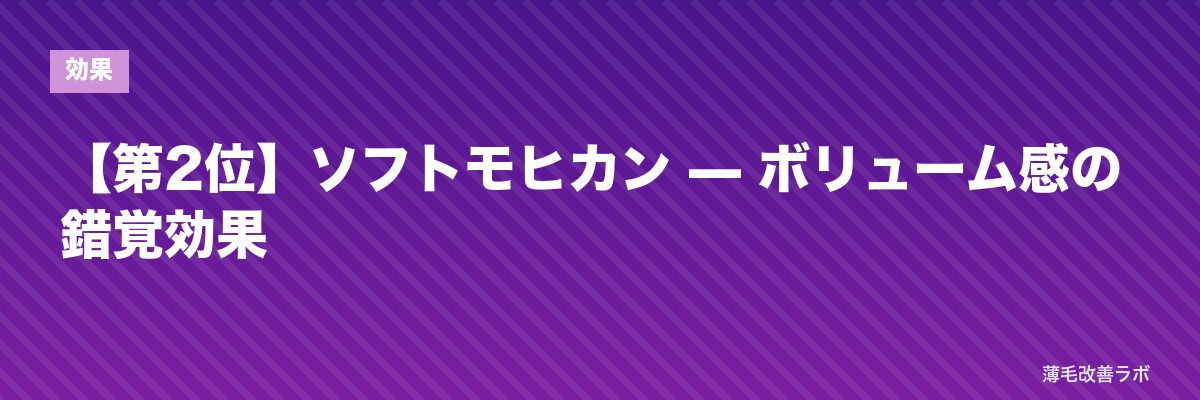 【第2位】ソフトモヒカン — ボリューム感の錯覚効果 | 薄毛改善ラボ