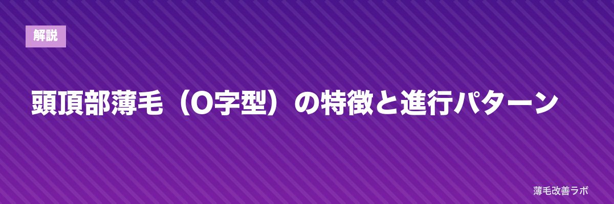 頭頂部薄毛（O字型）の特徴と進行パターン | 薄毛改善ラボ