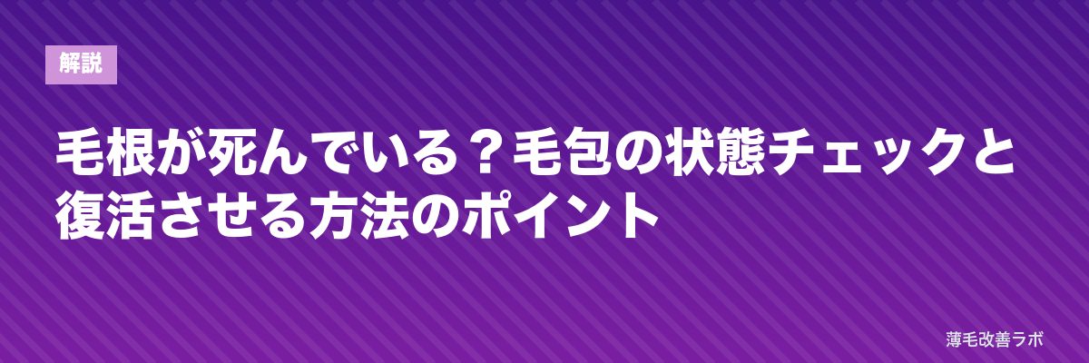 毛根が死んでいる?毛包の状態チェックと復活させる方法のポイント | 薄毛改善ラボ