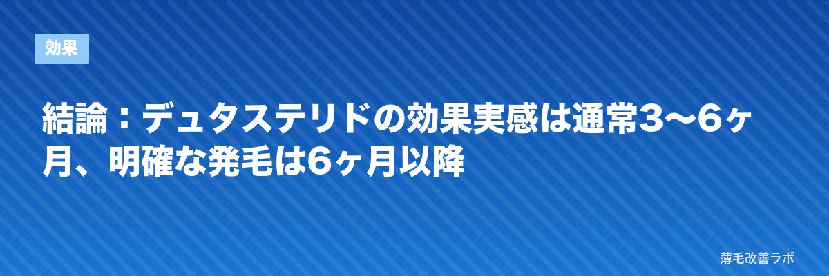 結論：デュタステリドの効果実感は通常3〜6ヶ月、明確な発毛は6ヶ月以降 | 薄毛改善ラボ