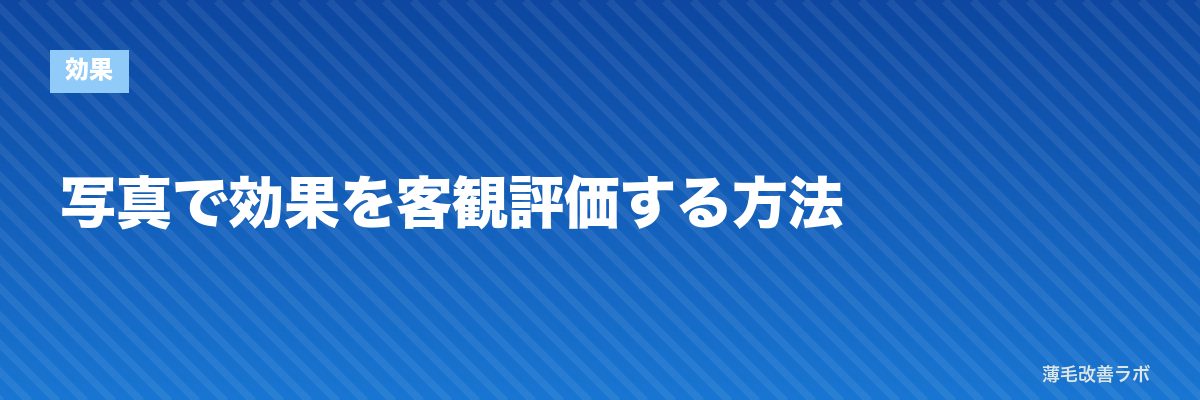 写真で効果を客観評価する方法 | 薄毛改善ラボ