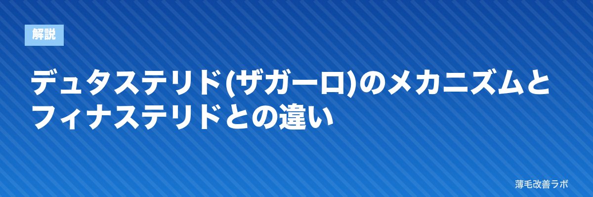 デュタステリド(ザガーロ)のメカニズムとフィナステリドとの違い | 薄毛改善ラボ