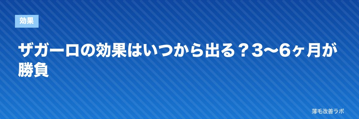 ザガーロの効果はいつから出る？3〜6ヶ月が勝負 | 薄毛改善ラボ