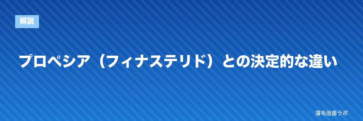 プロペシア（フィナステリド）との決定的な違い | 薄毛改善ラボ