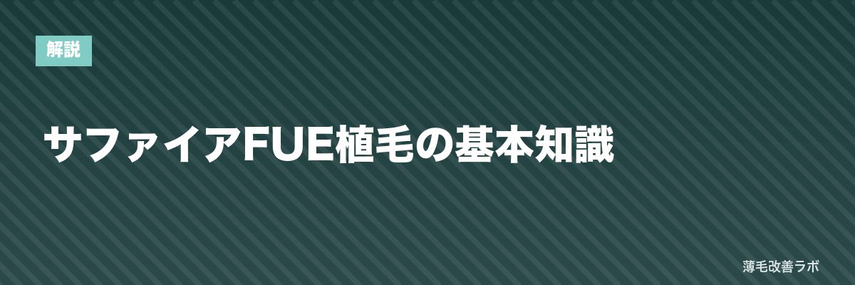 サファイアFUE植毛の基本知識 | 薄毛改善ラボ