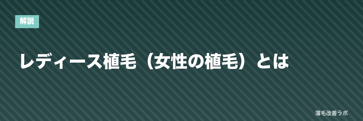 レディース植毛（女性の植毛）とは | 薄毛改善ラボ