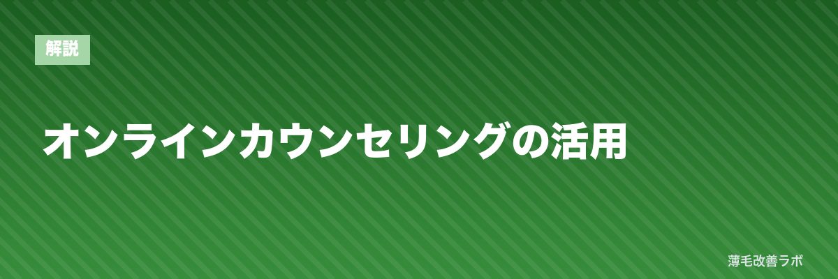 オンラインカウンセリングの活用 | 薄毛改善ラボ