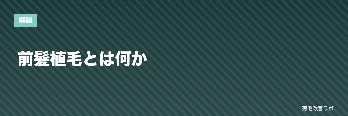 前髪植毛とは何か | 薄毛改善ラボ