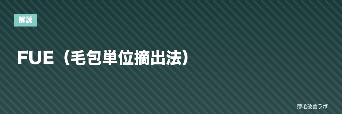FUE（毛包単位摘出法） | 薄毛改善ラボ