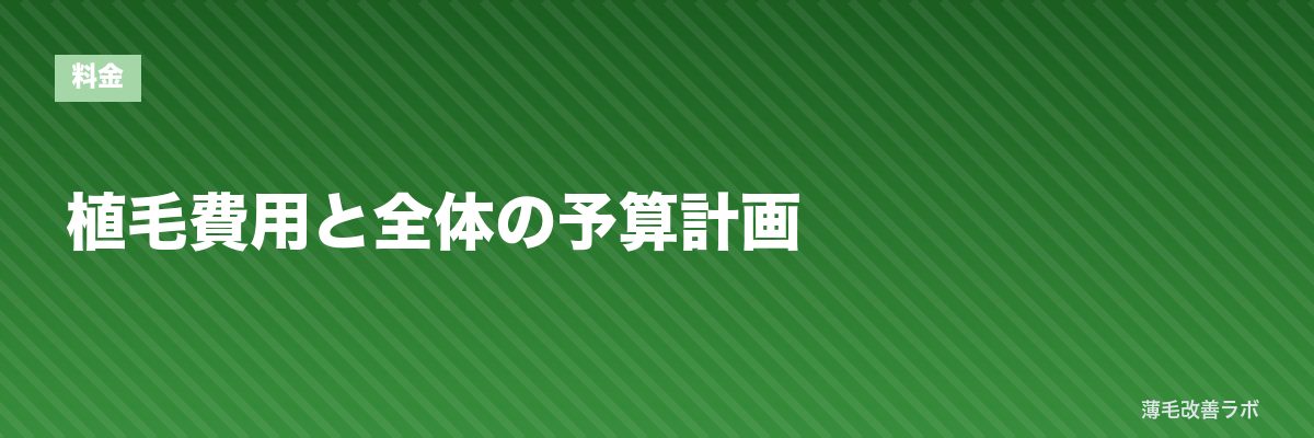 植毛費用と全体の予算計画 | 薄毛改善ラボ