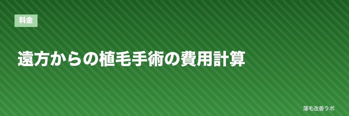 遠方からの植毛手術の費用計算 | 薄毛改善ラボ