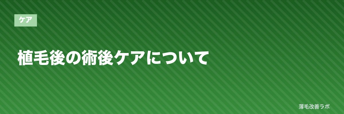 植毛後の術後ケアについて | 薄毛改善ラボ