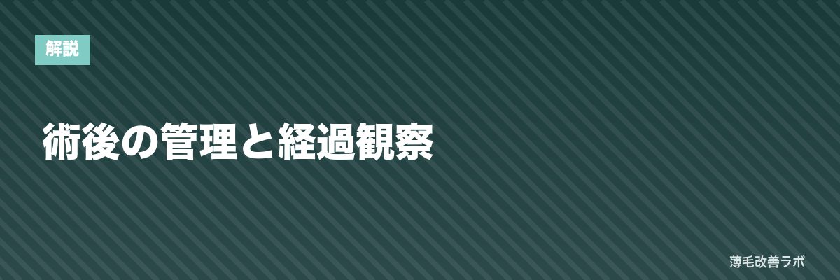 術後の管理と経過観察 | 薄毛改善ラボ