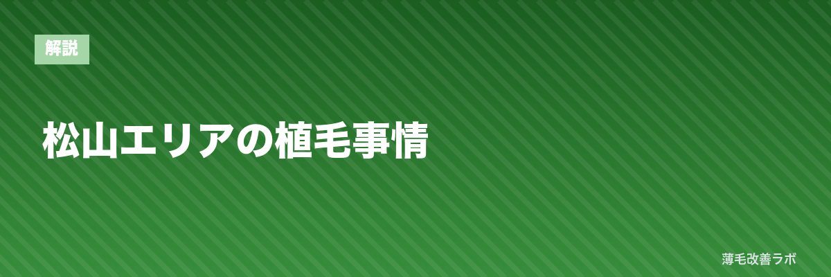 松山エリアの植毛事情 | 薄毛改善ラボ