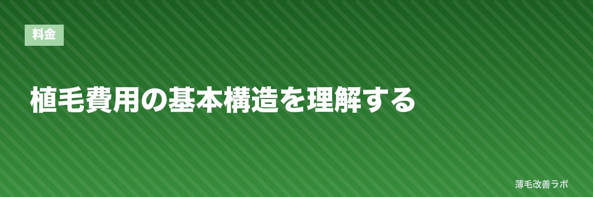 植毛費用の基本構造を理解する | 薄毛改善ラボ