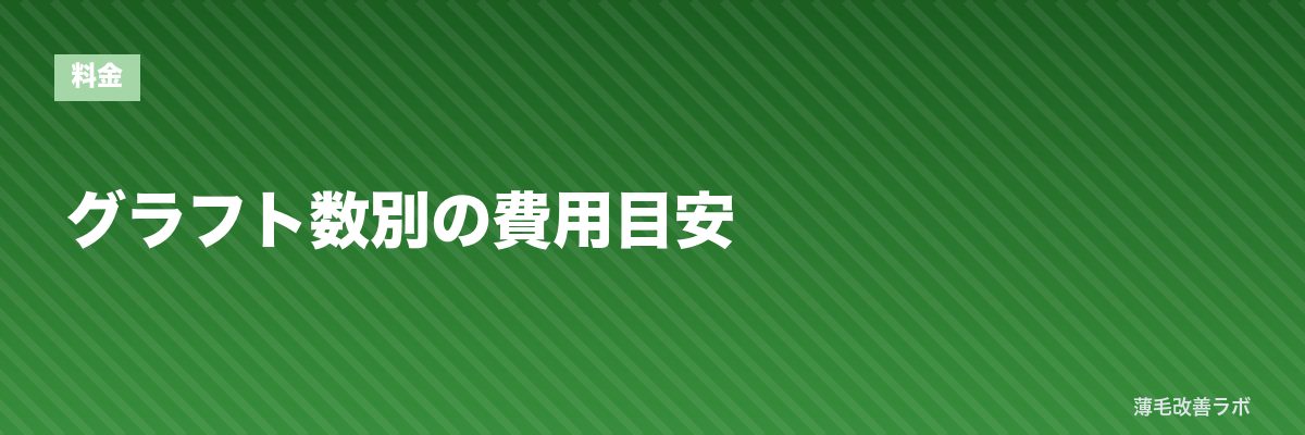 グラフト数別の費用目安 | 薄毛改善ラボ