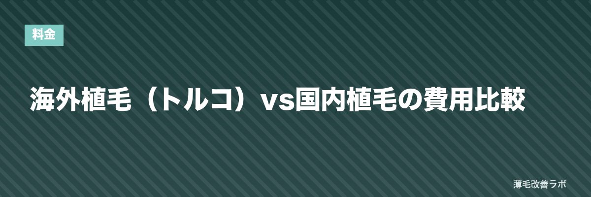 海外植毛（トルコ）vs国内植毛の費用比較 | 薄毛改善ラボ