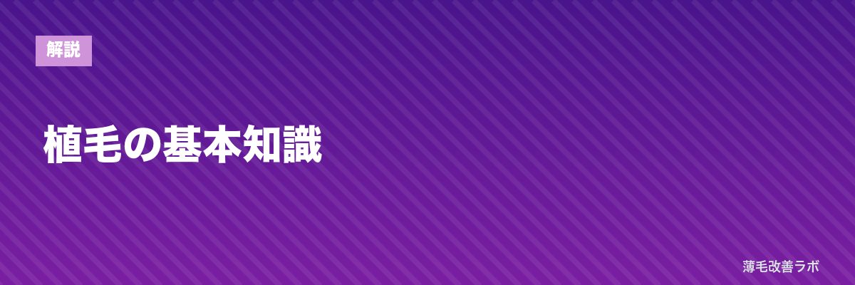 植毛の基本知識 | 薄毛改善ラボ