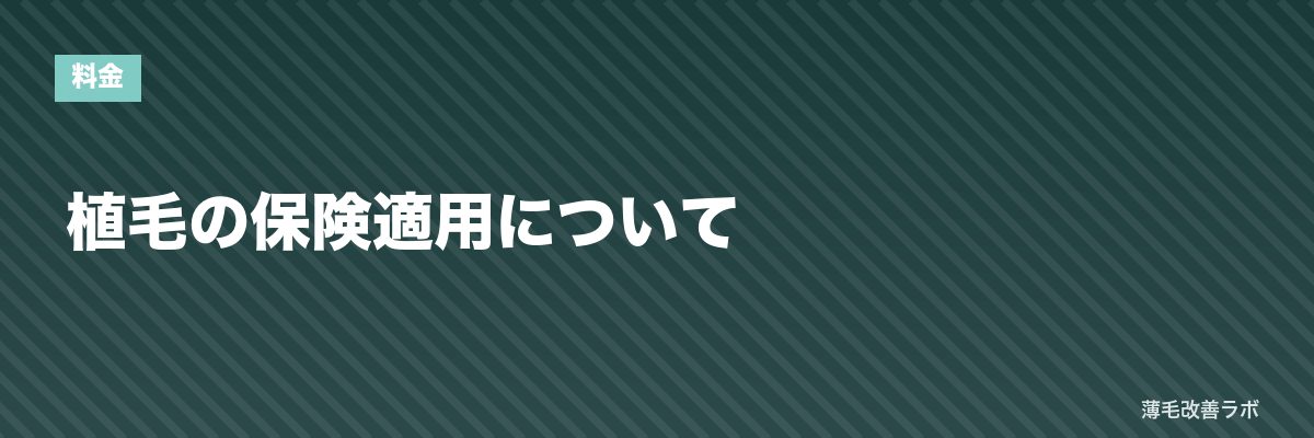 植毛の保険適用について | 薄毛改善ラボ