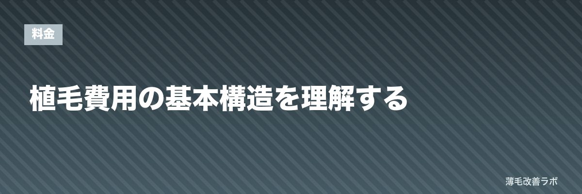 植毛費用の基本構造を理解する | 薄毛改善ラボ