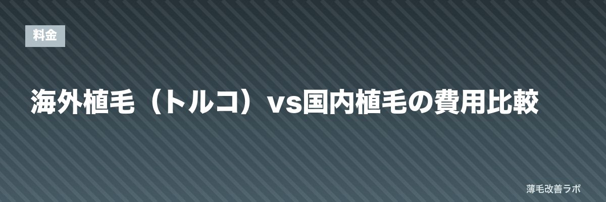海外植毛（トルコ）vs国内植毛の費用比較 | 薄毛改善ラボ