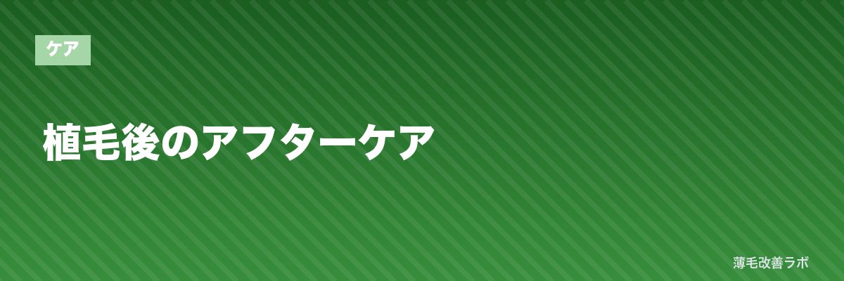 植毛後のアフターケア | 薄毛改善ラボ