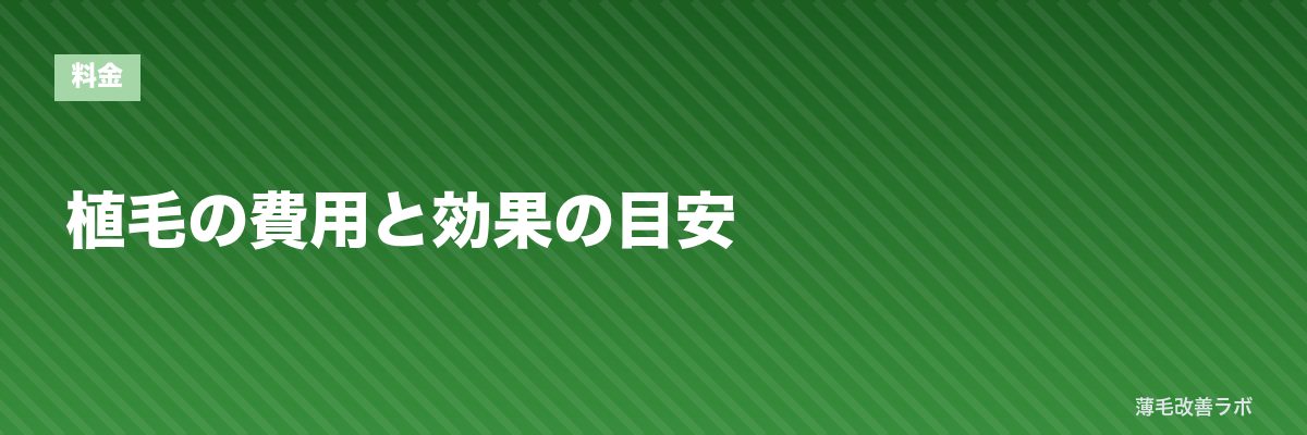 植毛の費用と効果の目安 | 薄毛改善ラボ