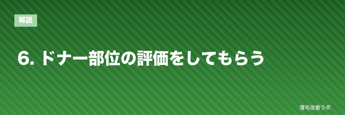 6. ドナー部位の評価をしてもらう | 薄毛改善ラボ