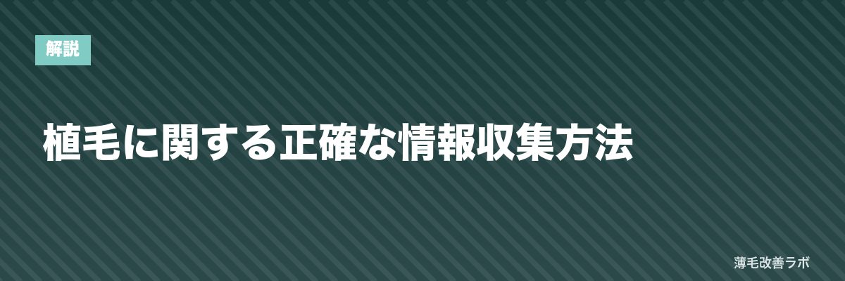 植毛に関する正確な情報収集方法 | 薄毛改善ラボ
