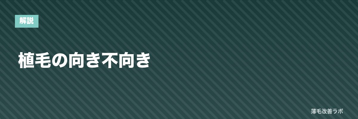 植毛の向き不向き | 薄毛改善ラボ