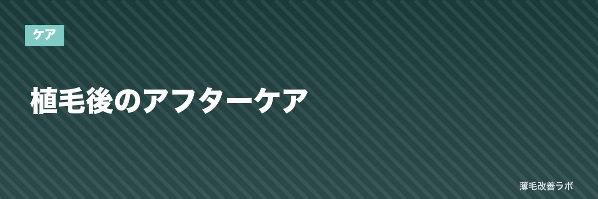 植毛後のアフターケア | 薄毛改善ラボ