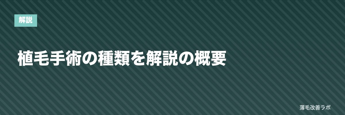 植毛手術の種類を解説の概要 | 薄毛改善ラボ