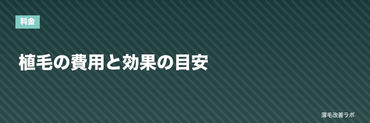 植毛の費用と効果の目安 | 薄毛改善ラボ