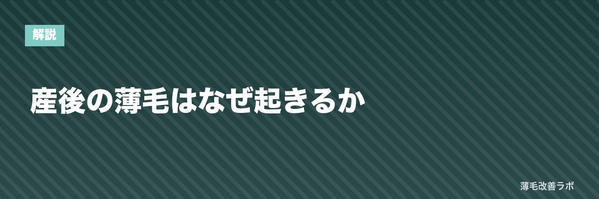 産後の薄毛はなぜ起きるか | 薄毛改善ラボ